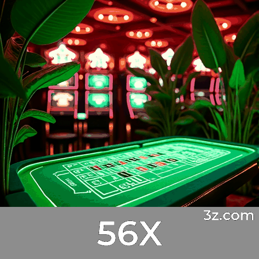 56X: A Plataforma de Apostas com Serviços Profissionais